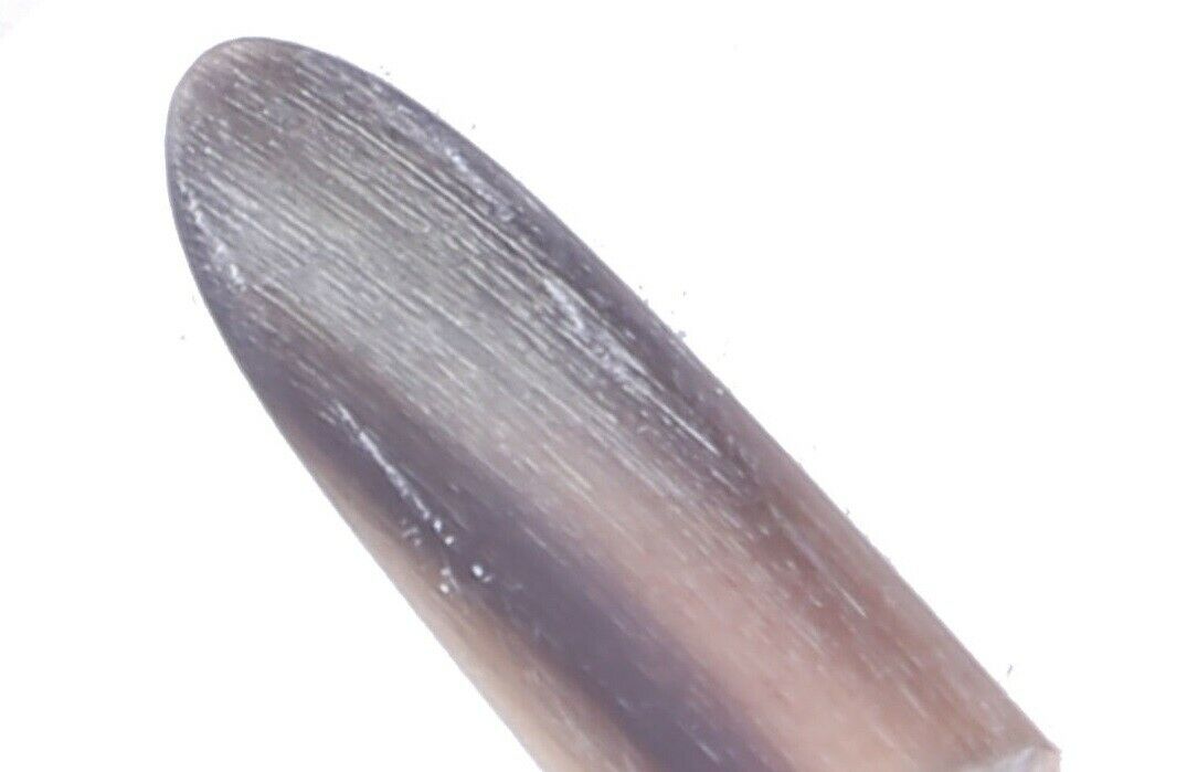Price and Buy Mezrab Pick for Persian Tar Model Horn (2x) - Image 5
