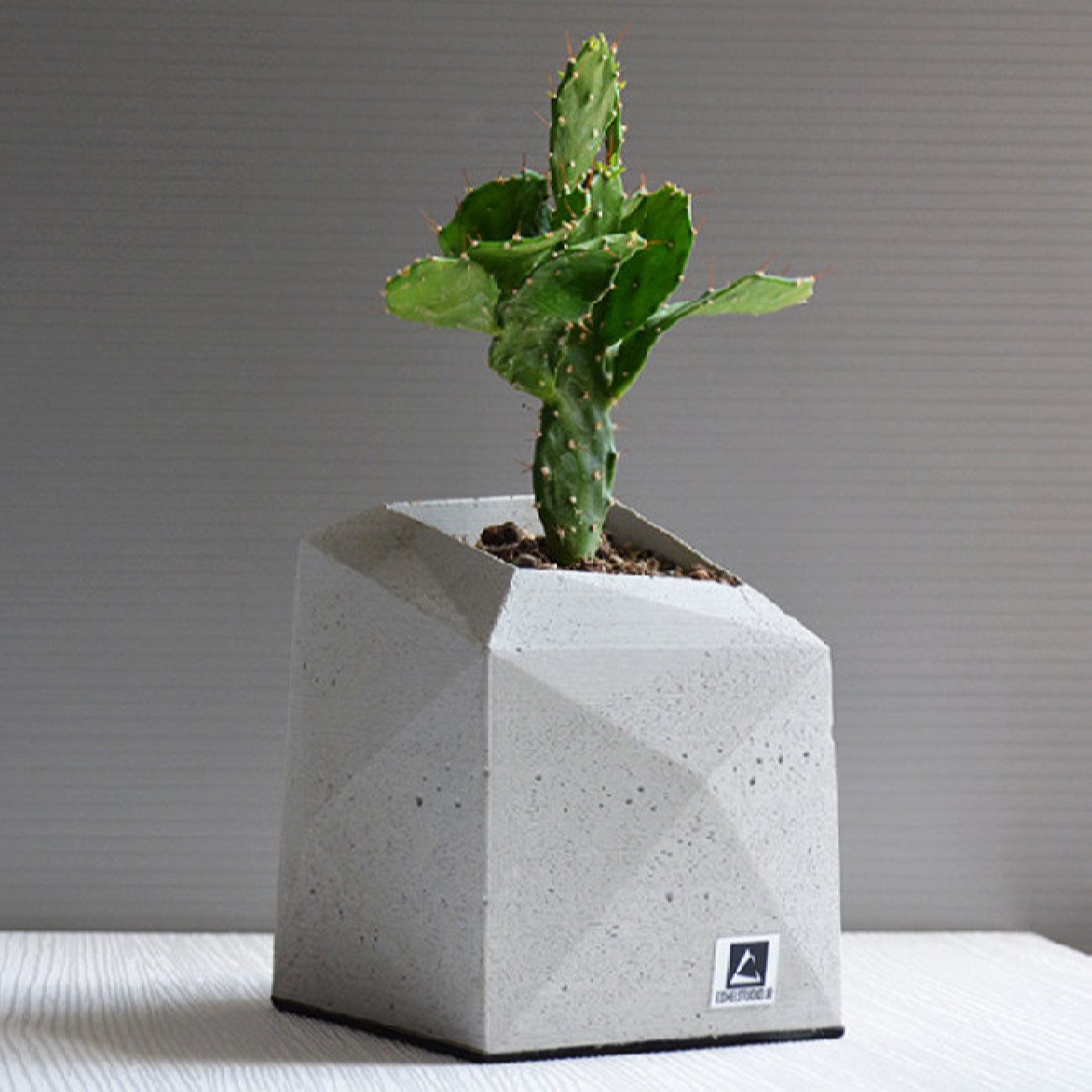 Price and Buy Mini Concrete Vase Handcrafted Geometric Design Gray - Image 4