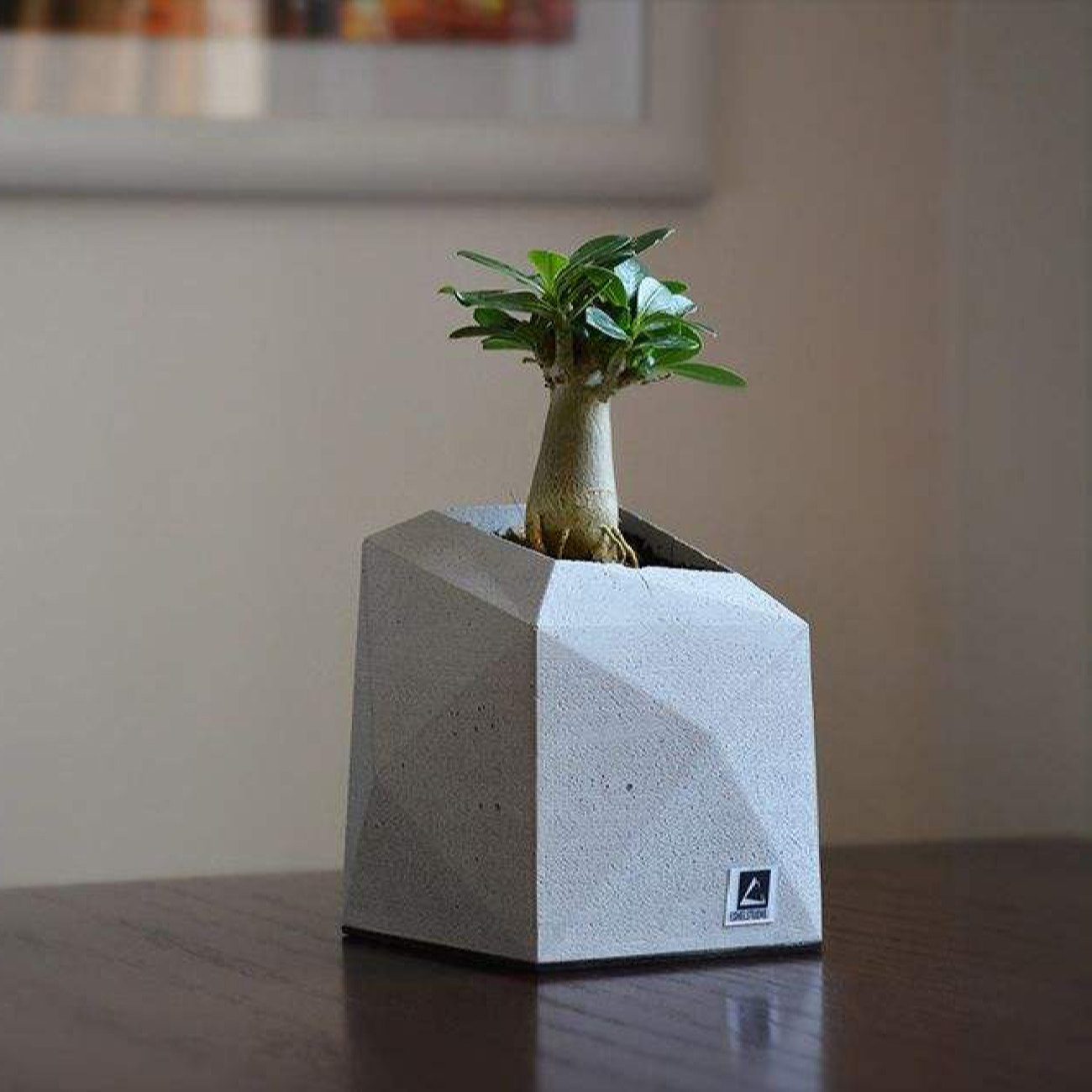 Price and Buy Mini Concrete Vase Handcrafted Geometric Design Gray - Image 7