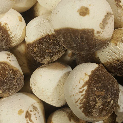 Price and Buy Mixed Persian Kashk – White & Black Dry Curd – 800g - Image 3