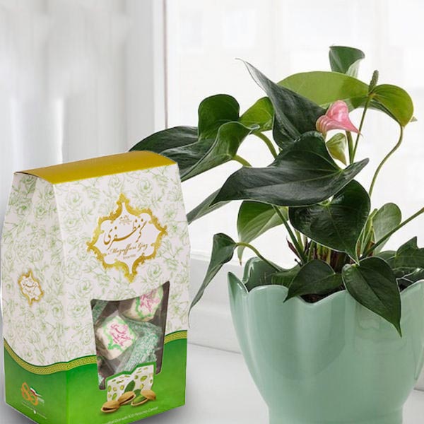 Price and Buy Mozaffari Gaz (3x Pack): Pistachio – Traditional Iranian Rosewater Nougat 200 (4x) - Image 3