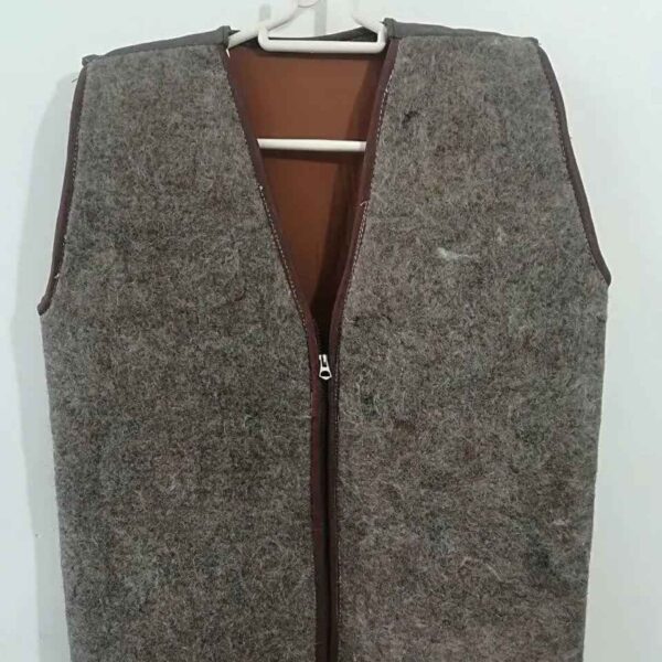 Price and Buy Natural Camel’s Wool Vest Model Tanpoosh_68fd820fdd083.jpeg Price and Buy Natural Camel’s Wool Vest Model Tanpoosh