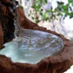 Price and Buy Natural Chewing Gum ( Saqez ) for Healthy & Refreshing Oral Enjoyment – 10 Pcs - Image 5