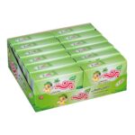 Price and Buy Natural Chewing Gum with Pennyroyal Mint Flavor – 12-Piece Pack