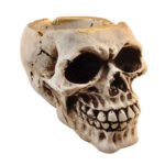 Price and Buy Novelty Ashtray – Functional Piece for Smoking Enthusiasts with Skull Design