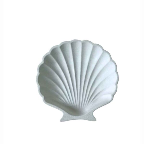 Price and Buy Novelty Jewelry Holder and Organizer Model Shell (x2)_68fc2576cee75.jpeg Price and Buy Novelty Jewelry Holder and Organizer Model Shell (x2)