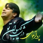 Price and Buy On The Night of Your Hairs Album by Parvaz Homay