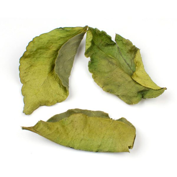 Price and Buy Organic Dried Iranian Lime Leaves – 700g_68fda913325c1.jpeg Price and Buy Organic Dried Iranian Lime Leaves – 700g