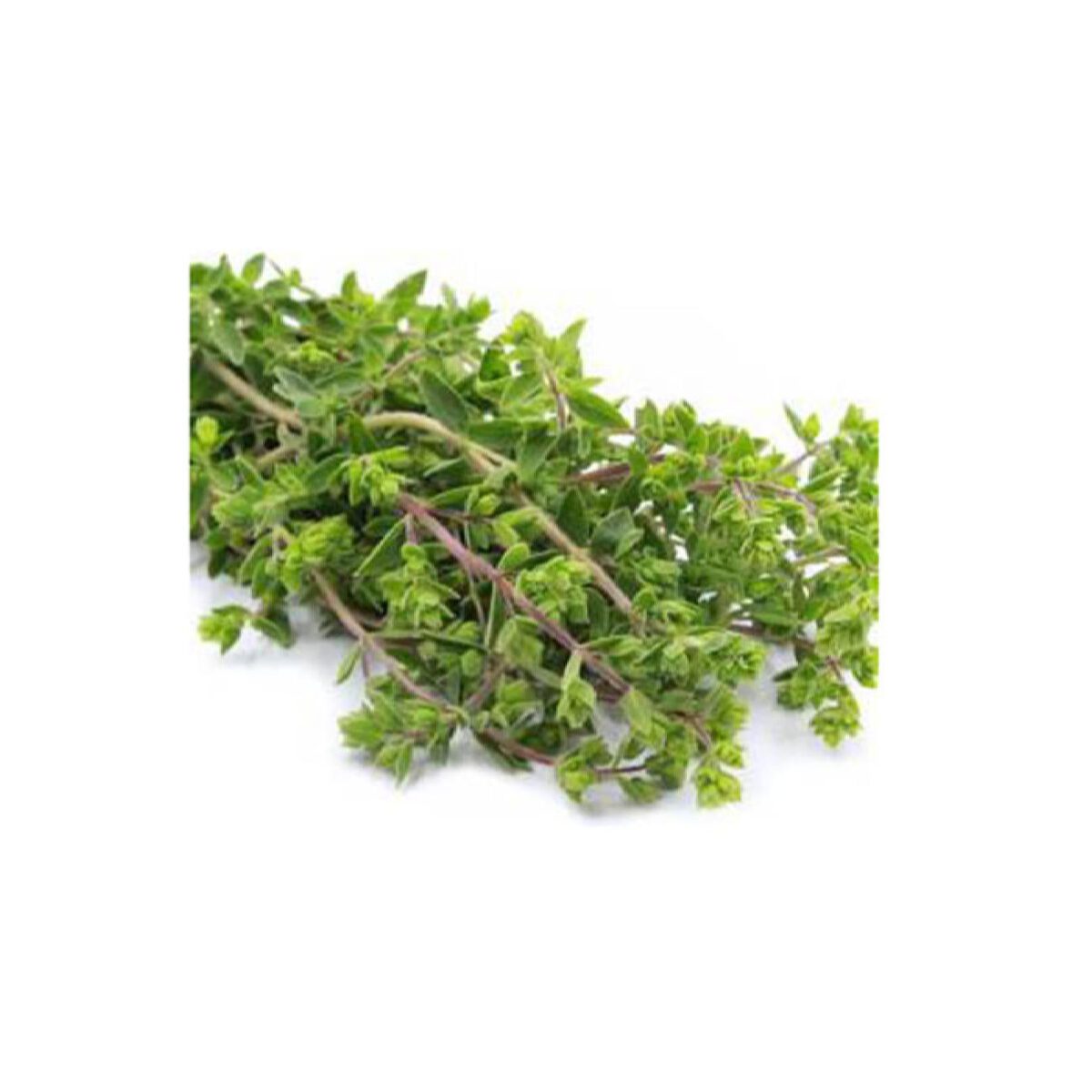 Price and Buy Organic Dried Iranian Marjoram Leaves – 120g - Image 3