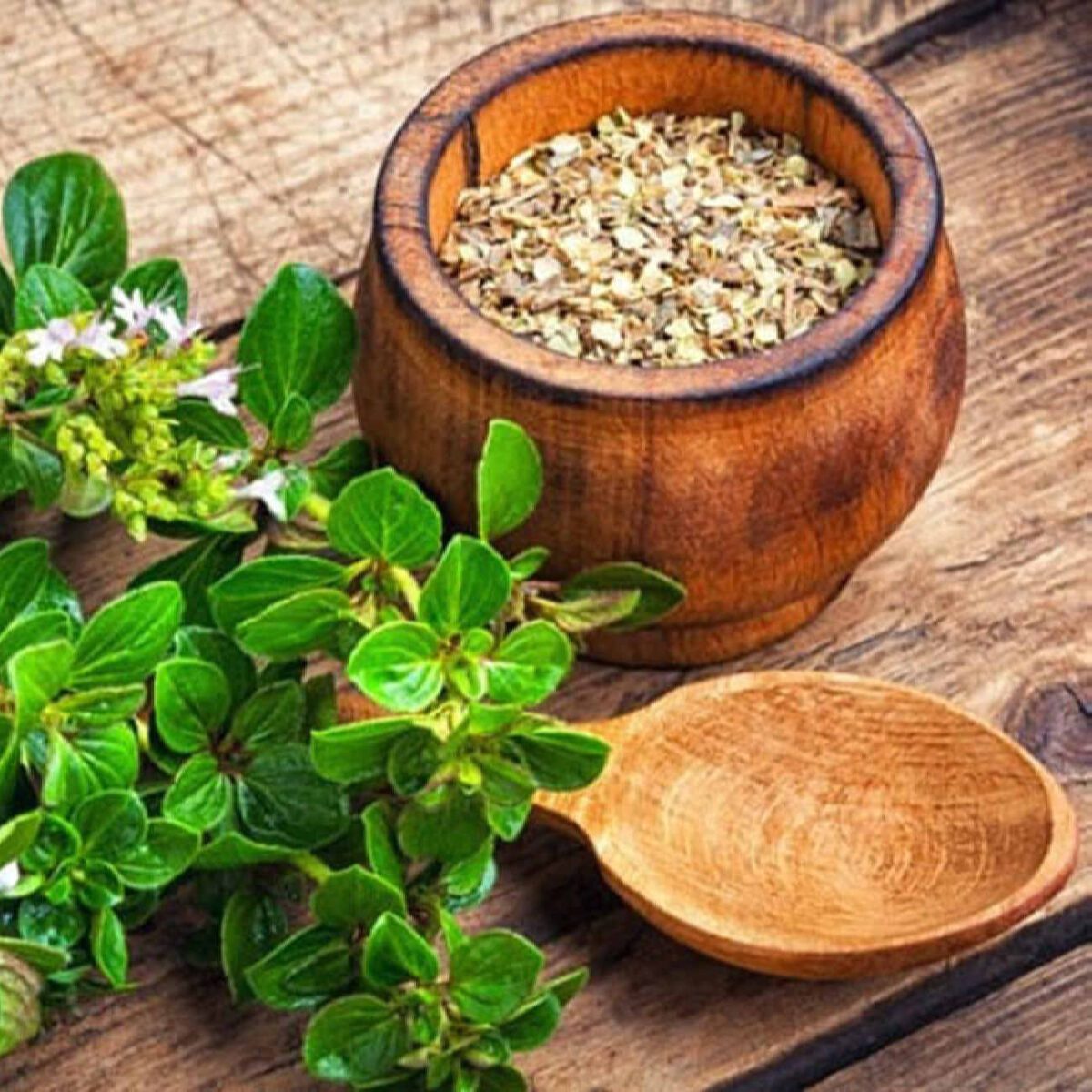 Price and Buy Organic Dried Iranian Marjoram Leaves – 120g - Image 4