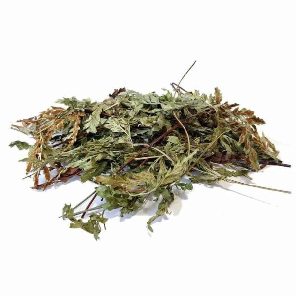 Price and Buy Organic Dried Maidenhair Fern Leaves – 500g_68fd7d708e2f1.jpeg Price and Buy Organic Dried Maidenhair Fern Leaves – 500g