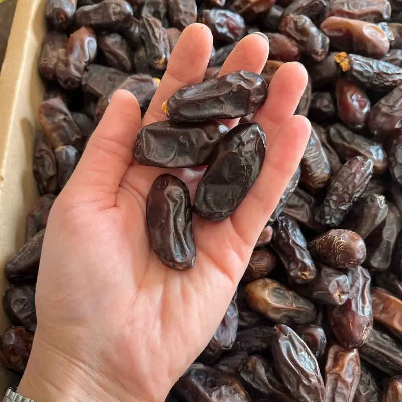 Price and Buy Organic Iranian Rabbi Dried Dates – 5000 grams