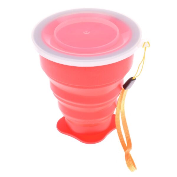 Price and Buy Outdoor Camping Cup – Lightweight, Collapsible & Unbreakable_68fd8ebfd5720.jpeg Price and Buy Outdoor Camping Cup – Lightweight, Collapsible & Unbreakable