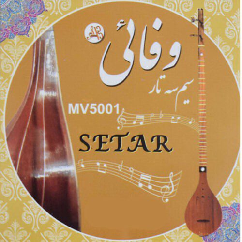 Price and Buy Pack of Strings for Persian Setar Model Vafahi MV5001_68f2fb7037349.jpeg Price and Buy Pack of Strings for Persian Setar Model Vafahi MV5001