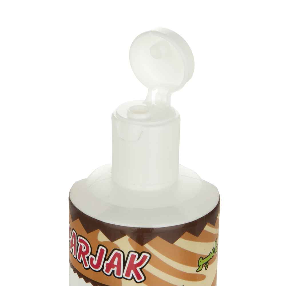 Price and Buy Parjak Argan Shampoo for All Hair Types – Moisturizing & Repairing (Pack of 4) - Image 3