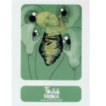 Price and Buy Parla Medea Recorded Theater by Mehdi Sheykhoond