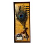 Price and Buy Peacock Feather Calligraphy Pen Set – Elegant Calligraphy Tool, 7-Piece