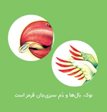 Price and Buy Persian Concept Book for Kids – Good friends - Image 4