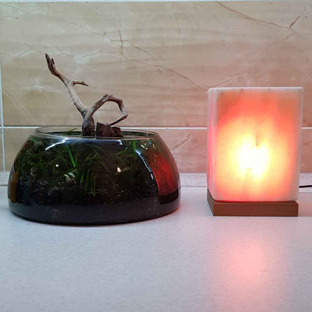 Price and Buy Persian Cube Salt Lamp – Handcrafted Cuboid Design with Wooden Base - Image 3