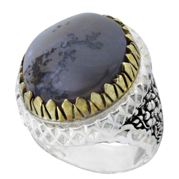 Price and Buy Persian Dendritic Agate Shajar Silver Ring for Men Arta_68fbef6879c30.jpeg Price and Buy Persian Dendritic Agate Shajar Silver Ring for Men Arta