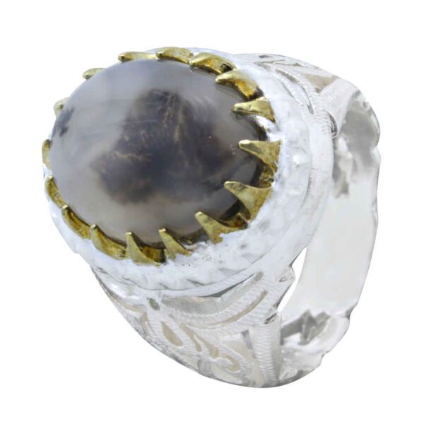 Price and Buy Persian Dendritic Agate Shajar Silver Ring for Men Farhad_68fbef42d0e60.jpeg Price and Buy Persian Dendritic Agate Shajar Silver Ring for Men Farhad