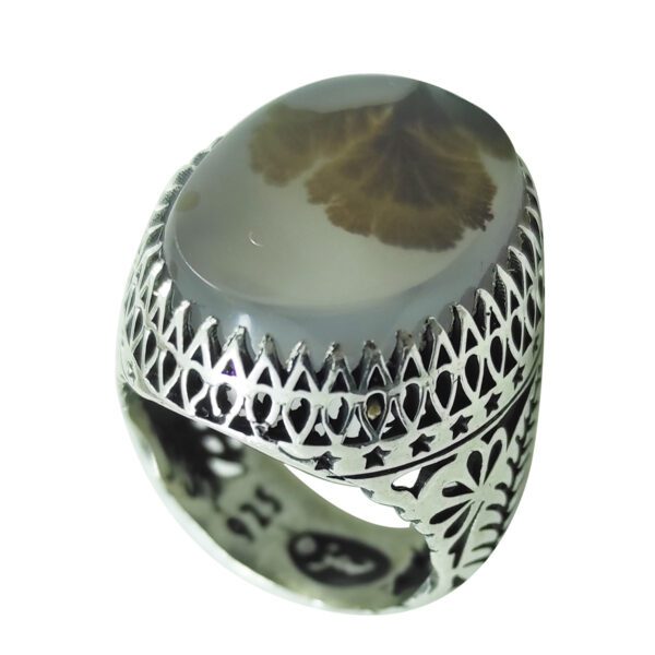 Price and Buy Persian Dendritic Agate Shajar Silver Ring for Men Hadi_68fef8c33d349.jpeg Price and Buy Persian Dendritic Agate Shajar Silver Ring for Men Hadi