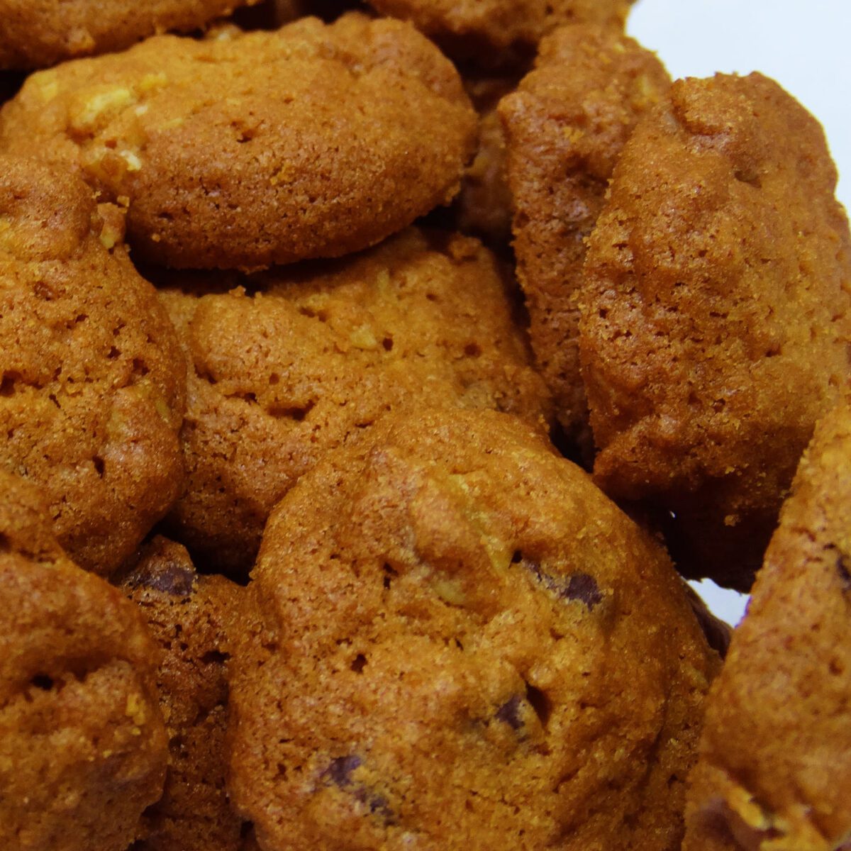 Price and Buy Persian Dietary Barley Cookies from Qazvin 700 grams (2x) - Image 3