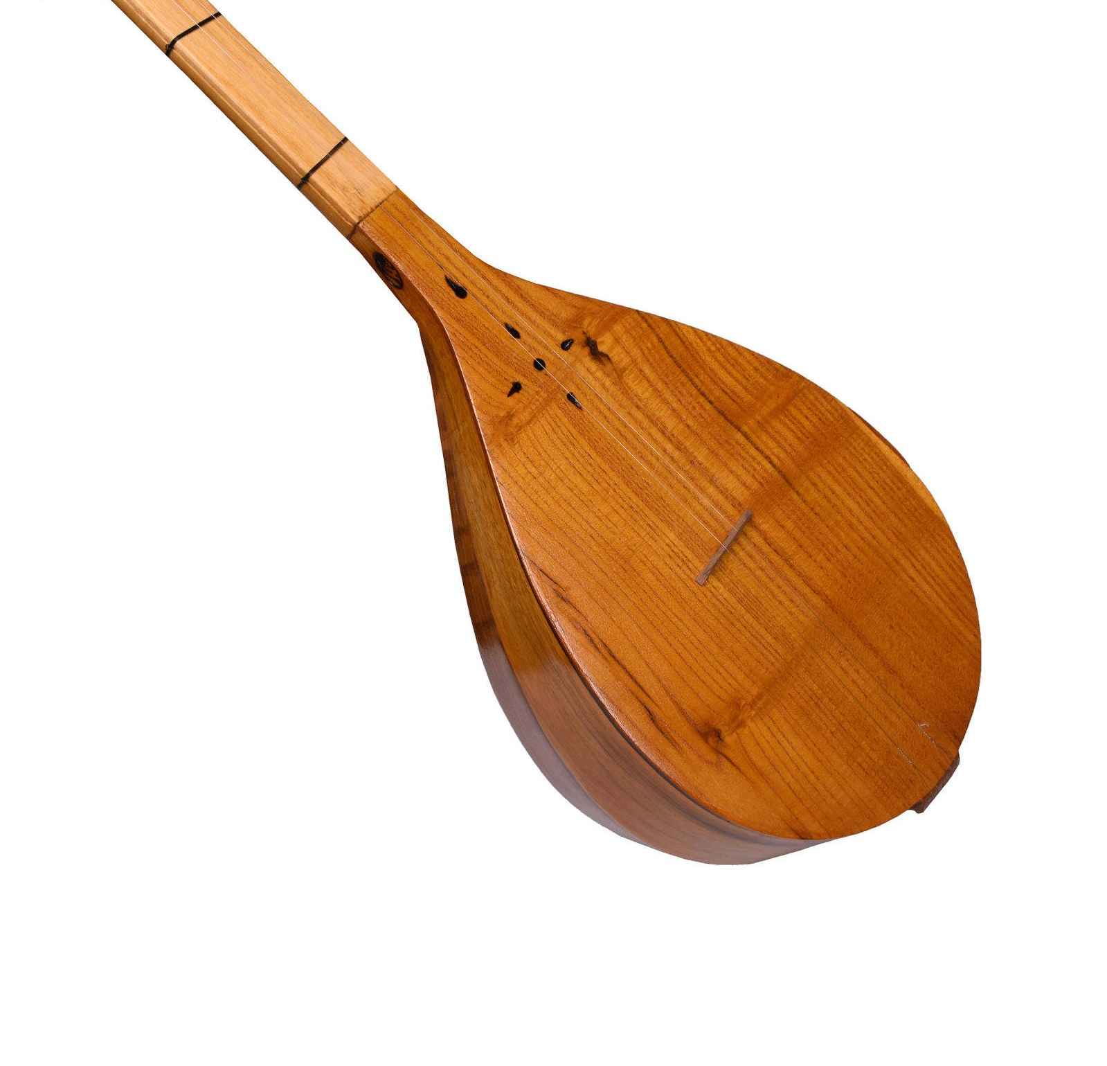 Price and Buy Persian Dutar Instrument by Master Farid, Economy - Image 3