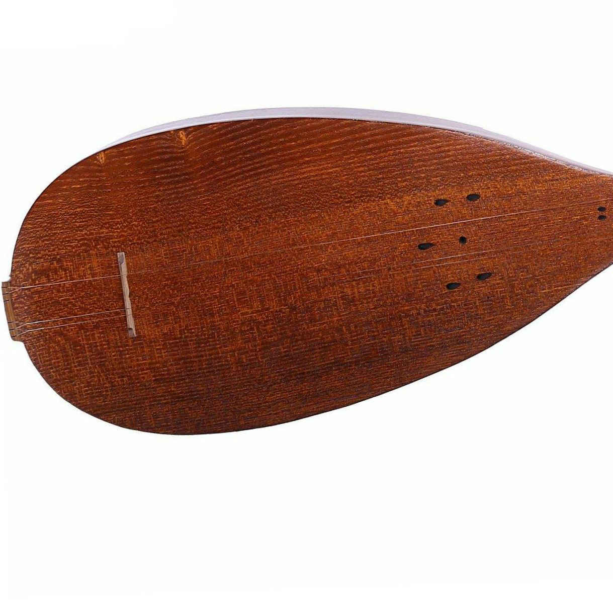 Price and Buy Persian Dutar Instrument by Master Farid, Economy - Image 4
