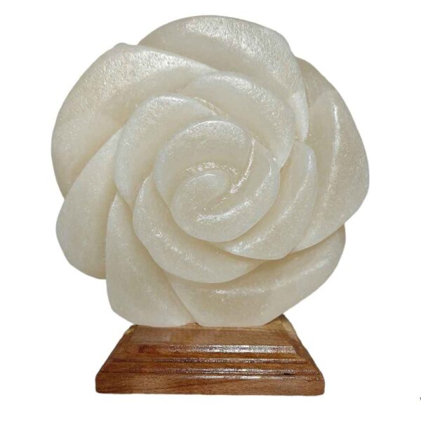 Price and Buy Persian Flower Salt Lamp – Handcrafted Design with Wooden Base_68fc0e3381dfd.jpeg Price and Buy Persian Flower Salt Lamp – Handcrafted Design with Wooden Base