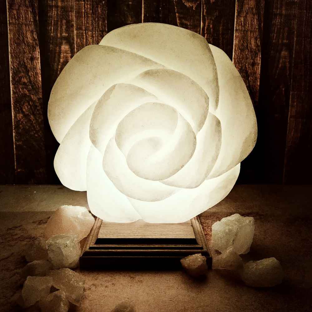 Price and Buy Persian Flower Salt Lamp – Handcrafted Design with Wooden Base - Image 3