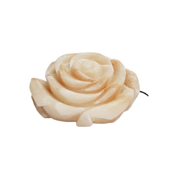 Price and Buy Persian Flower Salt Lamp – Handcrafted Rose Design_68f74dec3a45d.jpeg Price and Buy Persian Flower Salt Lamp – Handcrafted Rose Design