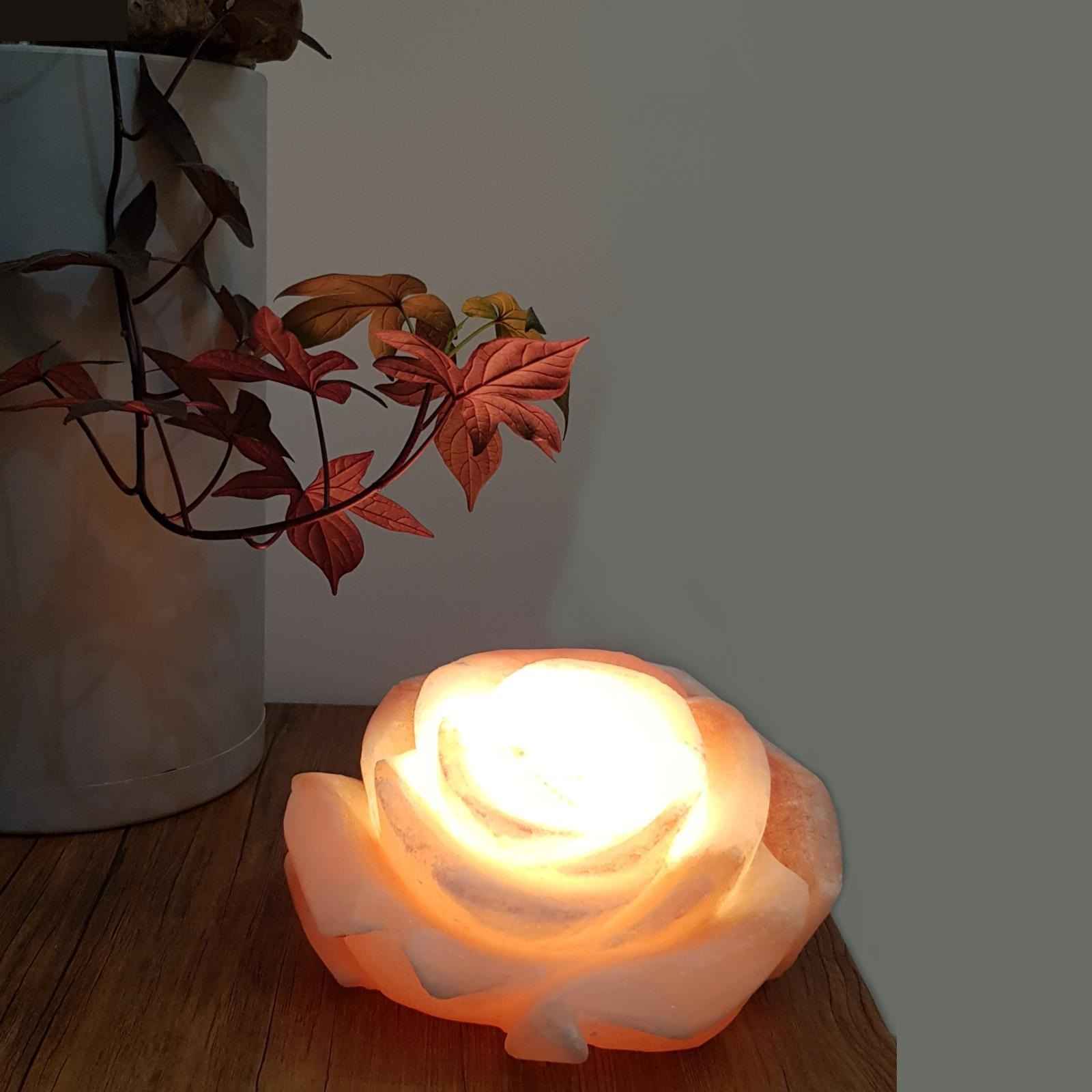 Price and Buy Persian Flower Salt Lamp – Handcrafted Rose Design - Image 3