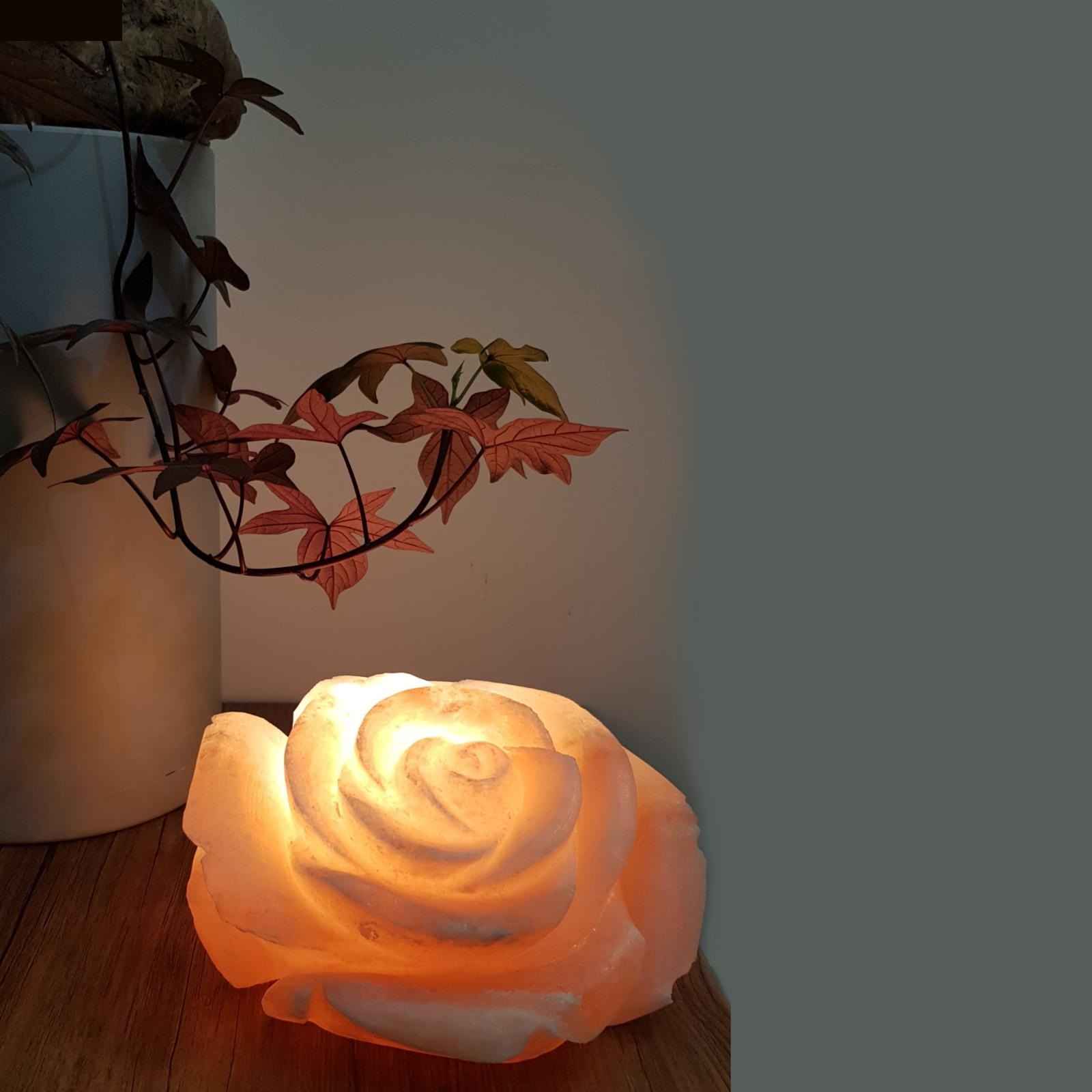 Price and Buy Persian Flower Salt Lamp – Handcrafted Rose G2 Design - Image 3