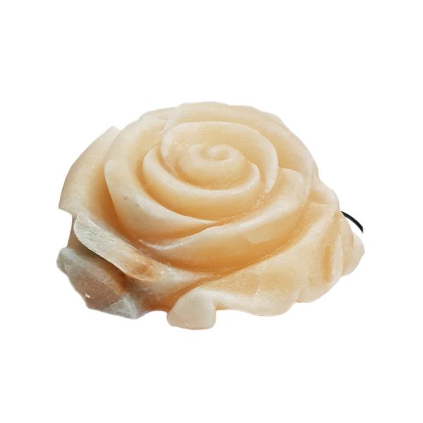 Price and Buy Persian Flower Salt Lamp – Handcrafted Roset Design_68f74dc90f61b.jpeg Price and Buy Persian Flower Salt Lamp – Handcrafted Roset Design