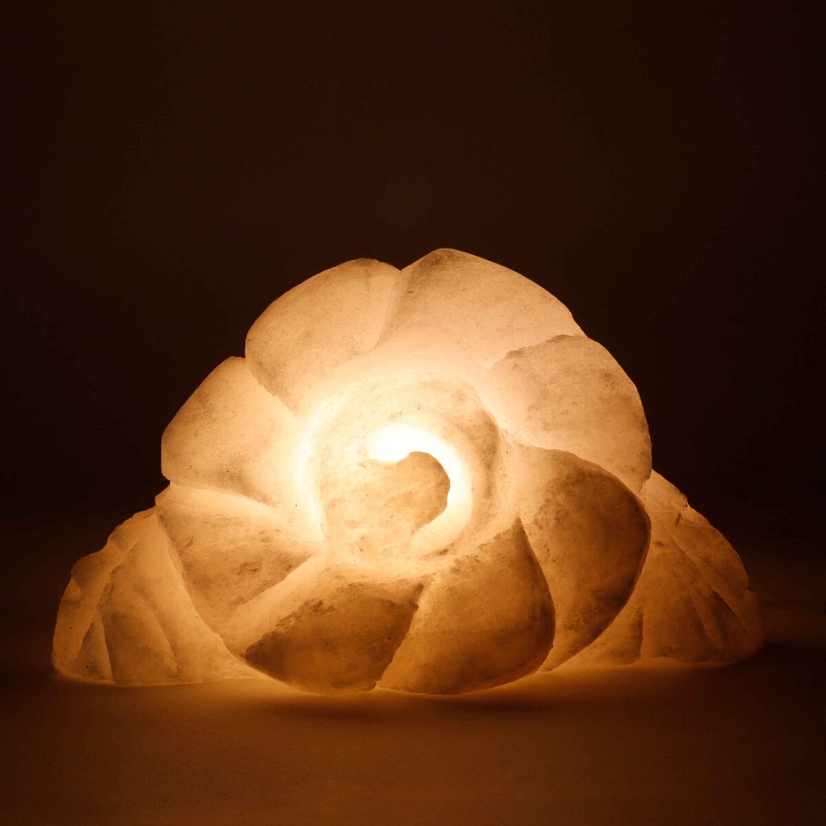 Price and Buy Persian Flower Salt Lamp – Handcrafted Royal Design - Image 3
