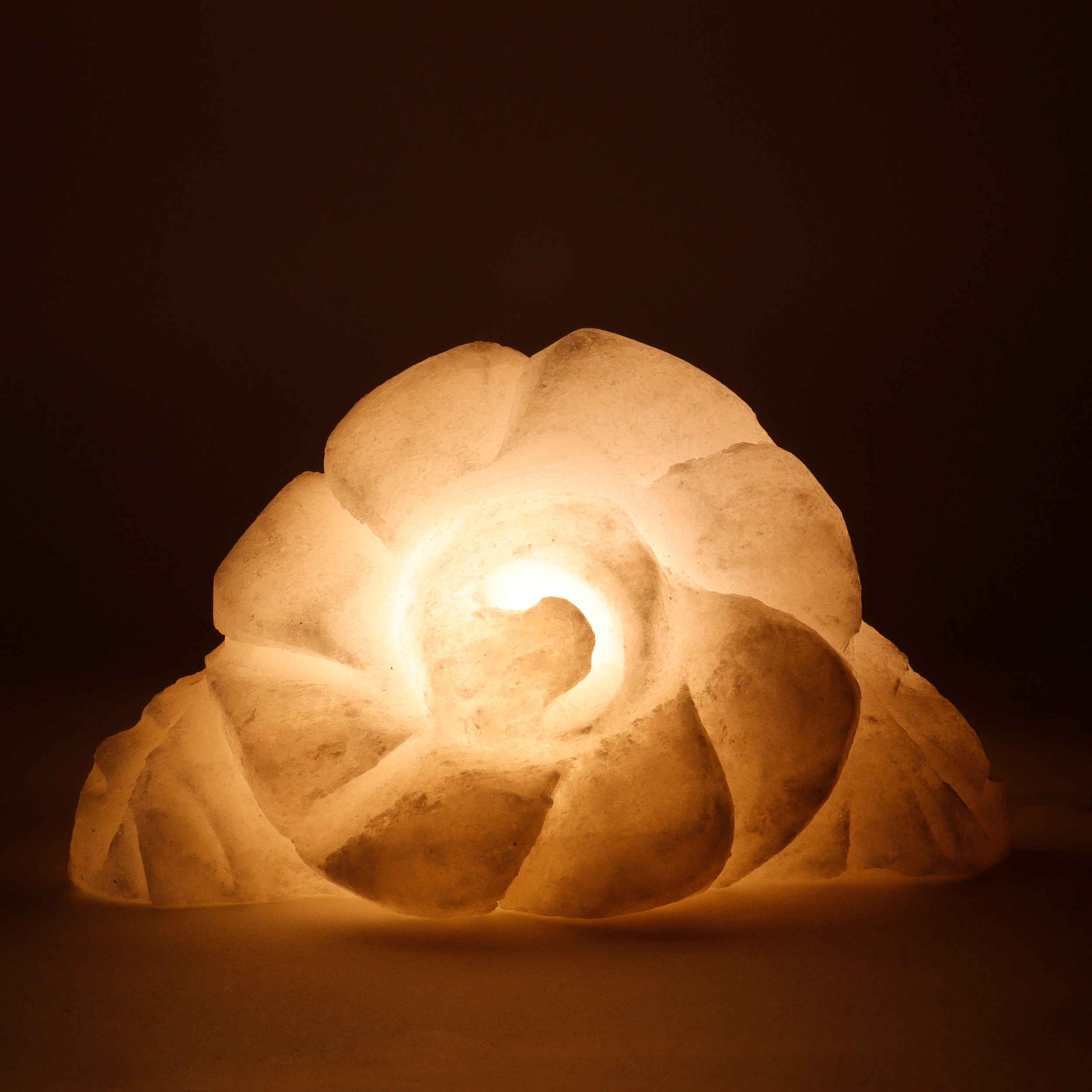 Price and Buy Persian Flower Salt Lamp – Handcrafted Royal Design - Image 3