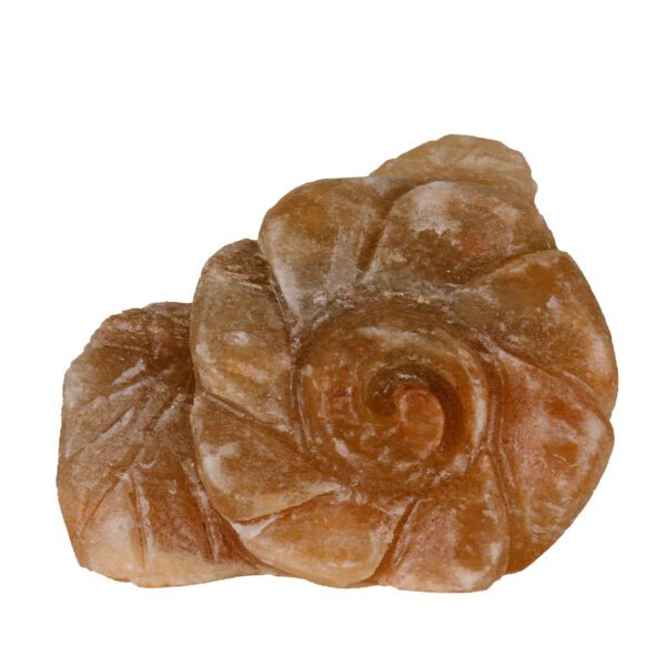 Price and Buy Persian Flower Salt Lamp – Handcrafted Sarvin Design_68fdfe8e42c05.jpeg Price and Buy Persian Flower Salt Lamp – Handcrafted Sarvin Design