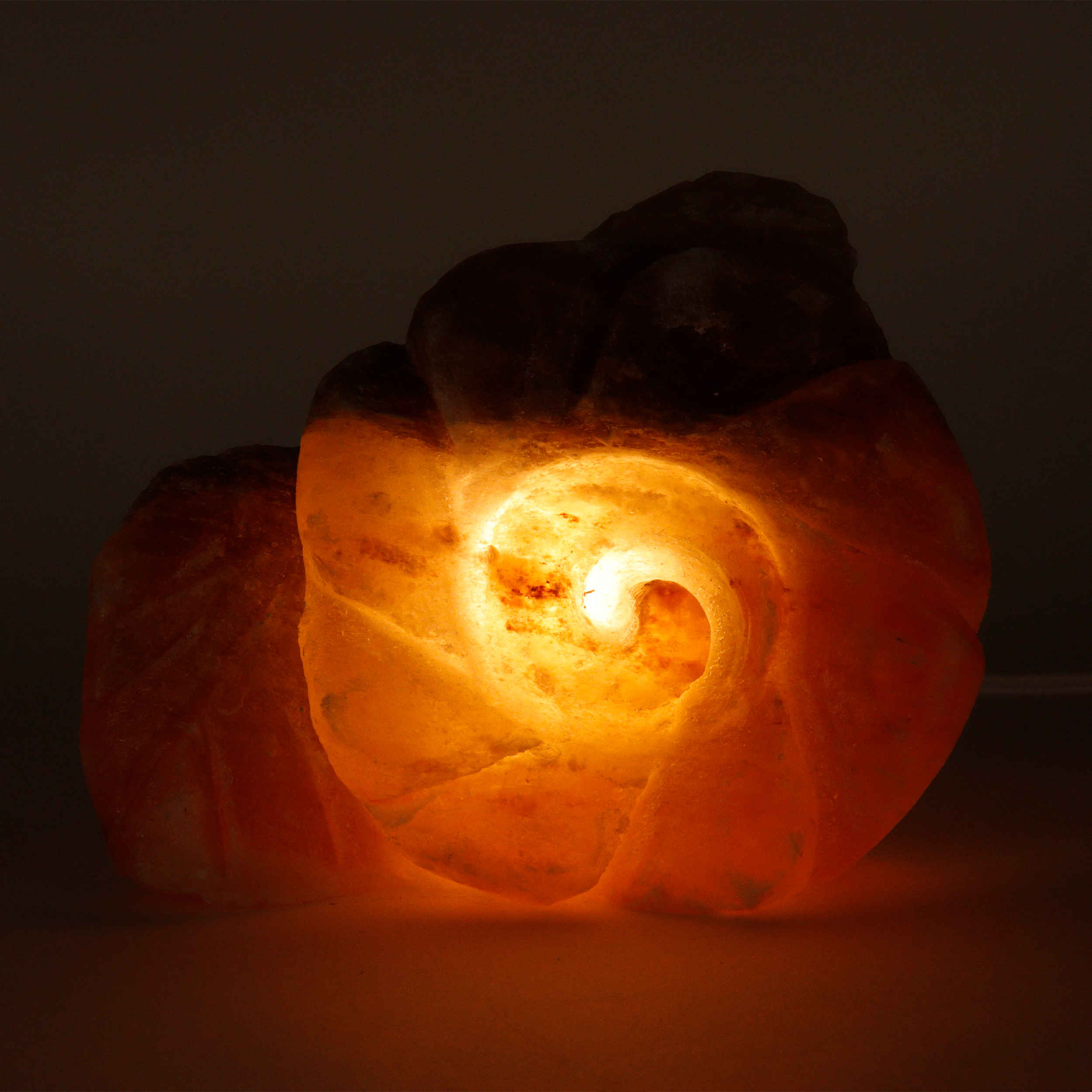 Price and Buy Persian Flower Salt Lamp – Handcrafted Sarvin Design - Image 4