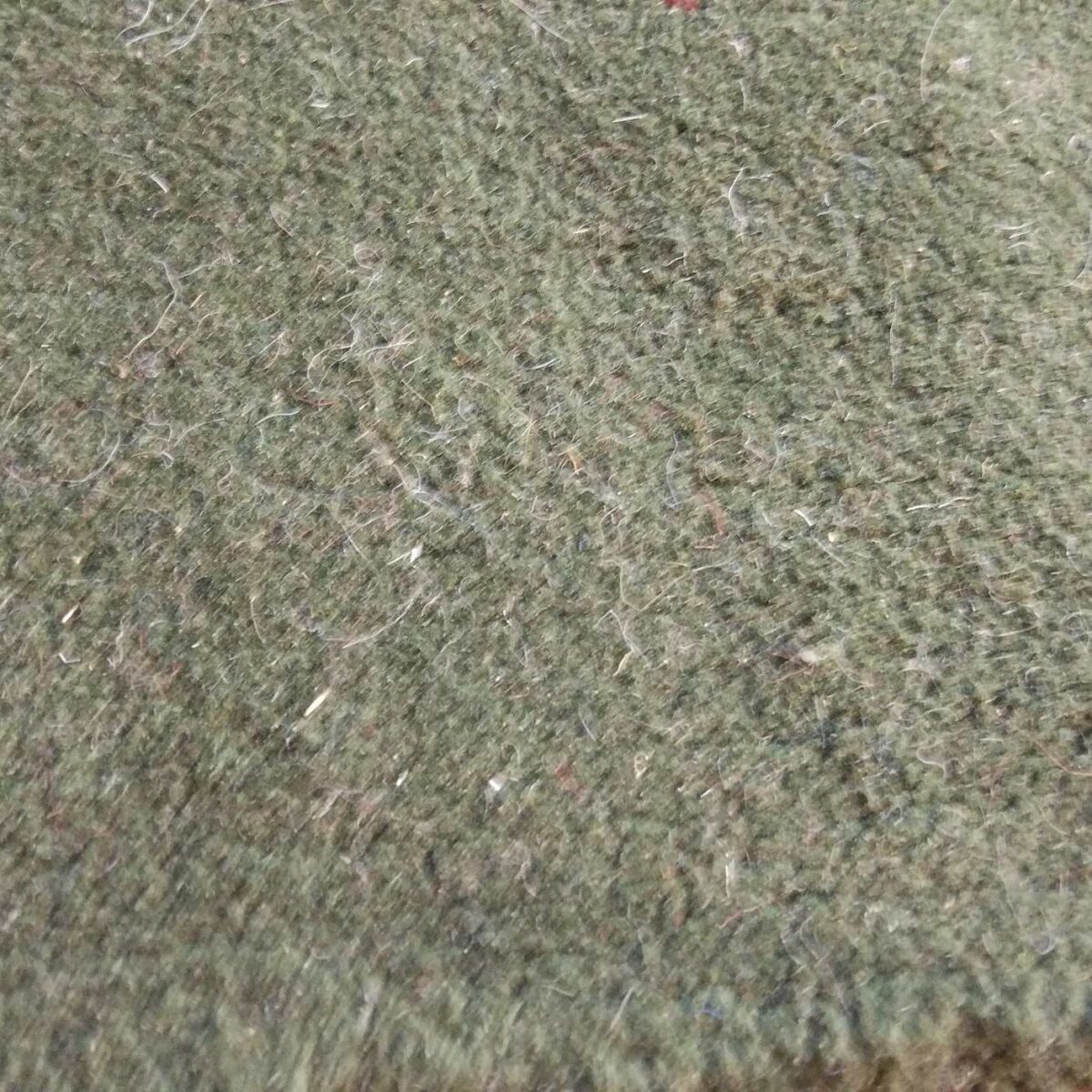 Price and Buy Persian Gabbeh Wool Rug Handwoven in Fars Green - Image 3