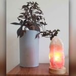 Price and Buy Persian Glow Salt Lamp – Handcrafted with Wooden Base & Rock Design - Image 4