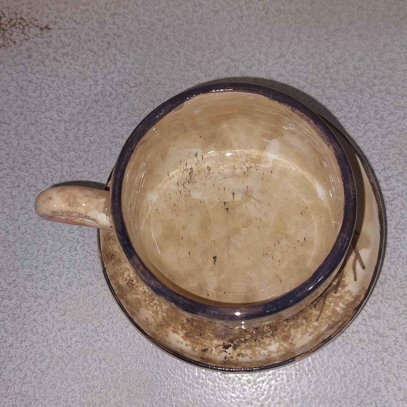 Price and Buy Persian High-Quality Pottery Teacup & Saucer with Tree Design - Image 5