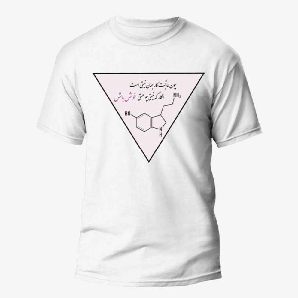 Price and Buy Persian Inspired T-Shirt Model Jahan – Traditional Persian Art_68fbf03a98f9a.jpeg Price and Buy Persian Inspired T-Shirt Model Jahan – Traditional Persian Art