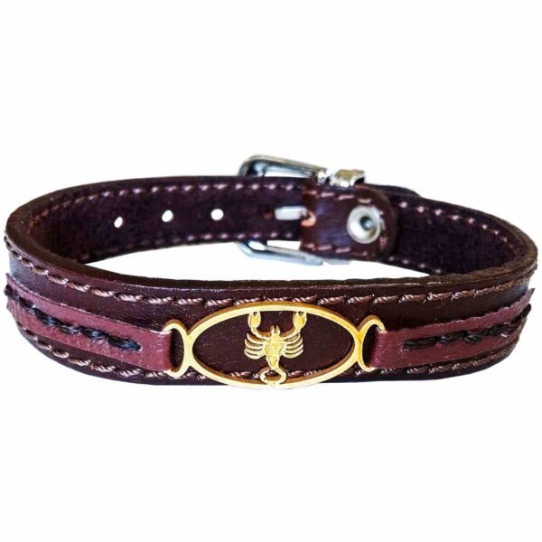 Price and Buy Persian Leather Bracelet for Men and Women – Aban Symbol_68f513f0d9f5a.jpeg Price and Buy Persian Leather Bracelet for Men and Women – Aban Symbol