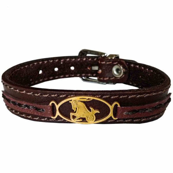 Price and Buy Persian Leather Bracelet for Men and Women – Dey Symbol_68f513fb06e93.jpeg Price and Buy Persian Leather Bracelet for Men and Women – Dey Symbol