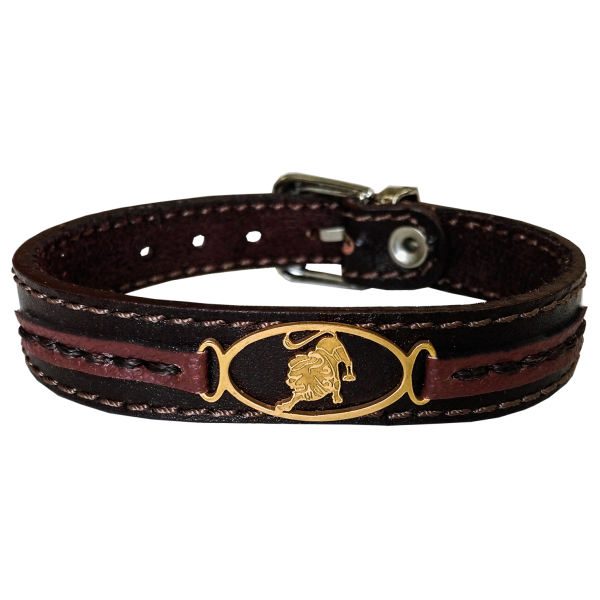 Price and Buy Persian Leather Bracelet for Men and Women – Mordad Symbol_68f5129a5d867.jpeg Price and Buy Persian Leather Bracelet for Men and Women – Mordad Symbol