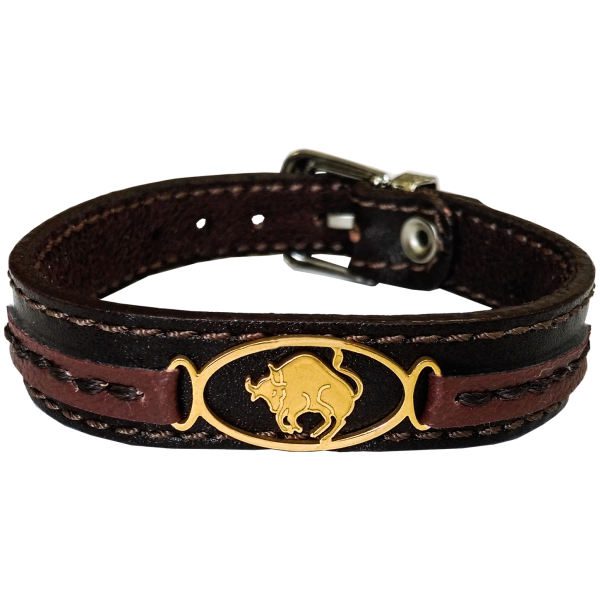 Price and Buy Persian Leather Bracelet for Men and Women – Ordibehsht Symbol_68f512cb65396.jpeg Price and Buy Persian Leather Bracelet for Men and Women – Ordibehsht Symbol