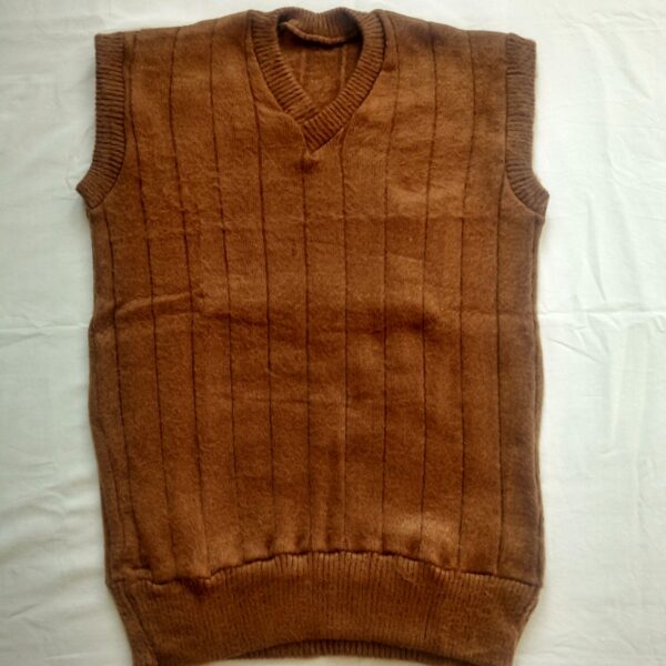 Price and Buy Persian Men & Women Camel Wool Vest_68f68bc0e98c4.jpeg Price and Buy Persian Men & Women Camel Wool Vest