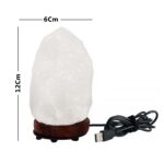 Price and Buy Persian Salt Rock Lamp – Enhance Your Living Space with Natural Wellness - Image 4