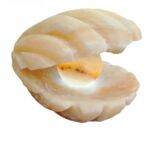 Price and Buy Persian Salt Rock Lamp for Natural Wellness – Perfect Gift for Stress Relief with Shel Design